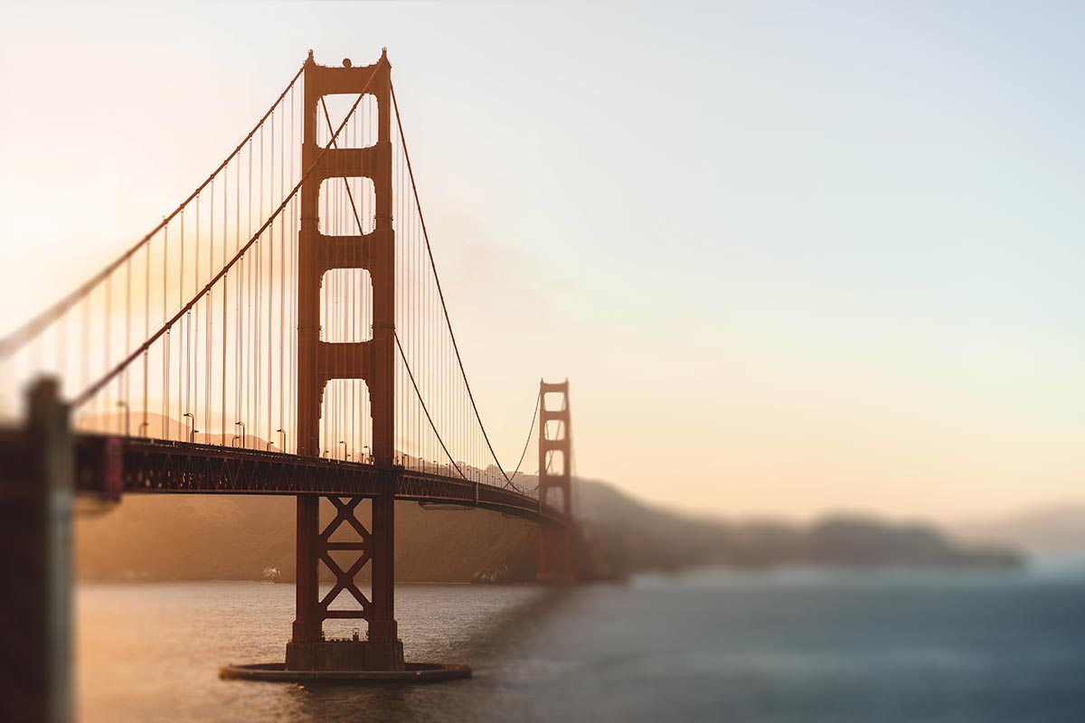 A Little Photoshoot Gone Wrong And The Internet Is Exploding